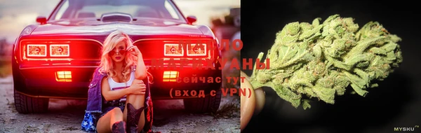 мдпв Ростов