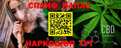 ECSTASY Новозыбков